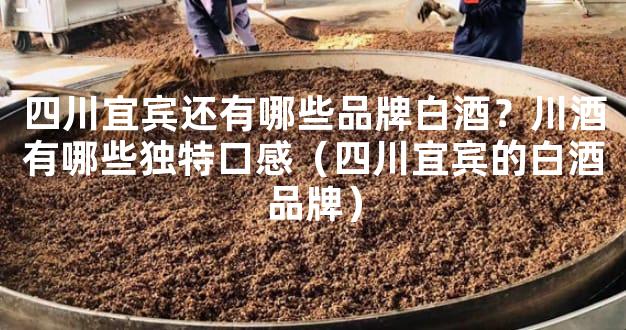 四川宜宾还有哪些品牌白酒？川酒有哪些独特口感（四川宜宾的白酒品牌）