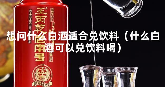 想问什么白酒适合兑饮料（什么白酒可以兑饮料喝）