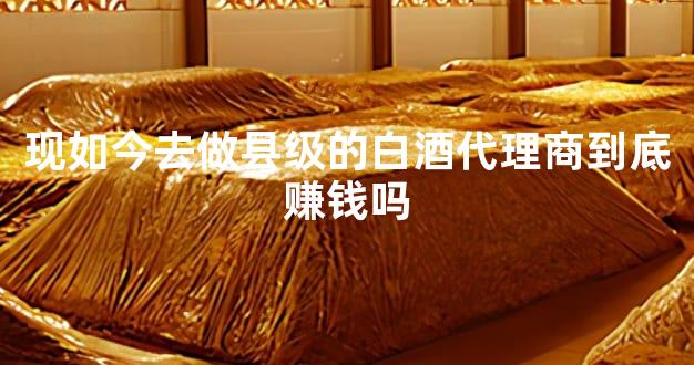 现如今去做县级的白酒代理商到底赚钱吗