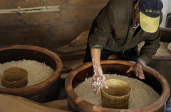 传统白酒酿造技术介绍 酒的传统酿造工艺