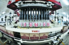 九江酒厂历史简介，探索酒厂未来的发展