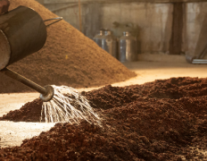 茅台酱香型白酒酿造原料有哪些，酿造工艺分享