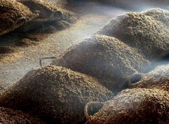 酱香型白酒由什么组成 才有独特的香味和口感